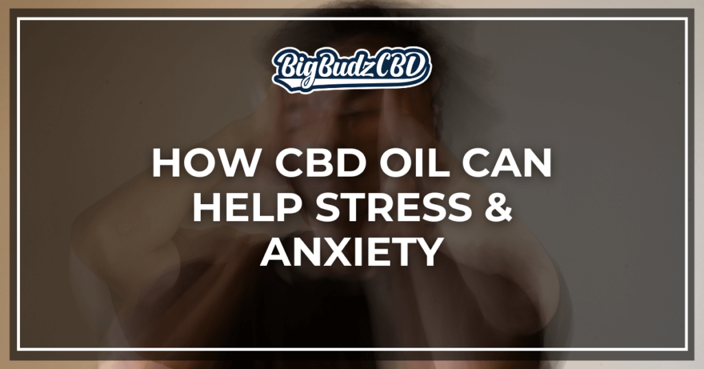 HOW CBD Oil Can Help Stress and Anxiety