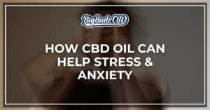 HOW CBD Oil Can Help Stress and Anxiety