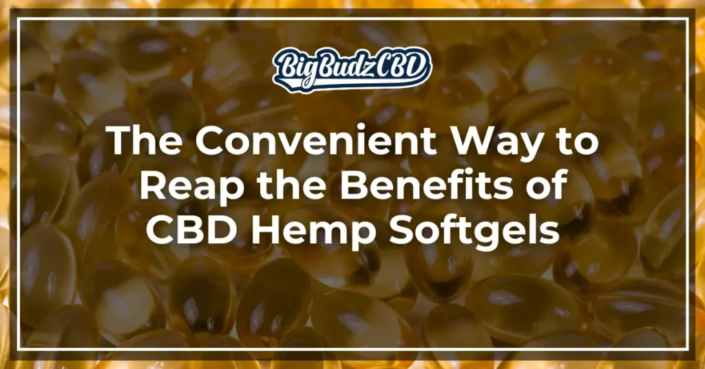 The Convenient Way to Reap the Benefits of CBD Hemp Softgels