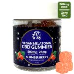 Vegan Slumber Berry - CBD + Melatonin Sleep Gummies - 500mg CBD