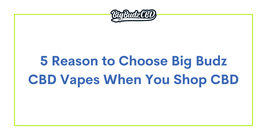 5 Reason to Choose Big Budz CBD Vapes When You Shop CBD