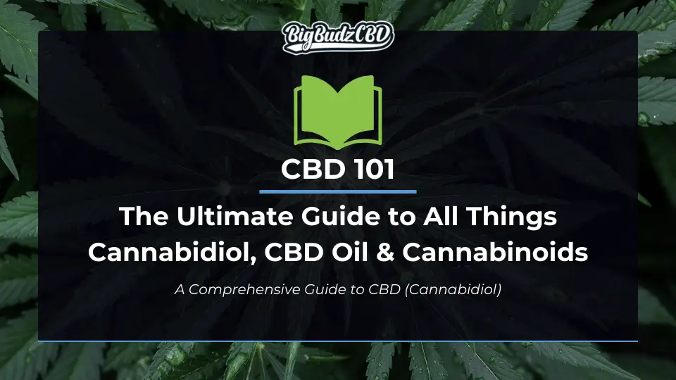 CBD 101 A Comprehensive Guide to CBD (Cannabidiol)