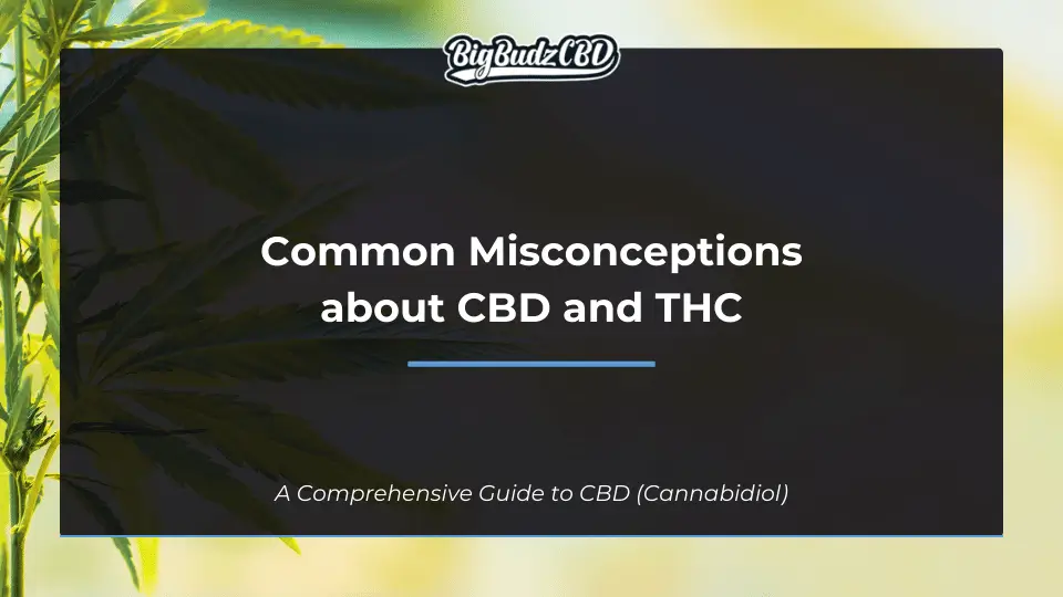 Common Misconceptions about CBD and THC