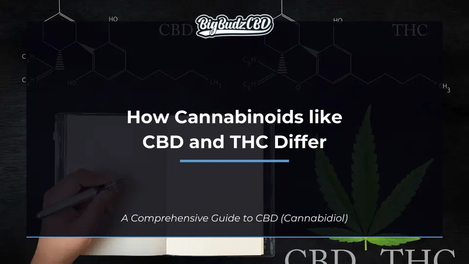 How Cannabinoids like CBD and THC Differ