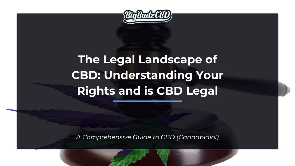 The Legal Landscape of CBD: Understanding Your Rights and is CBD Legal