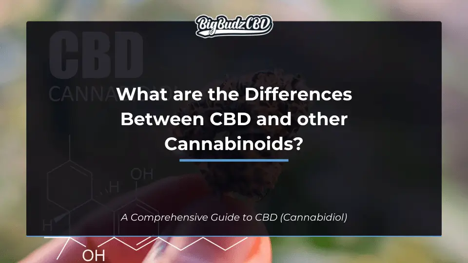 What are the Differences Between CBD and other Cannabinoids?