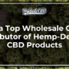 Be a Top Wholesale CBD Distributor of Hemp-Derived CBD Products