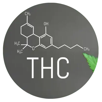 THC Molecule