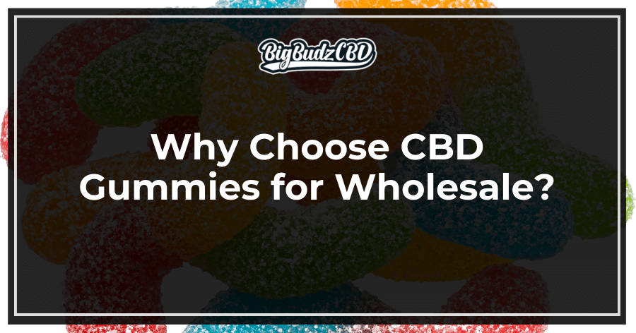 Why Choose CBD Gummies for Wholesale