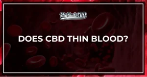 Does CBD Thin Blood