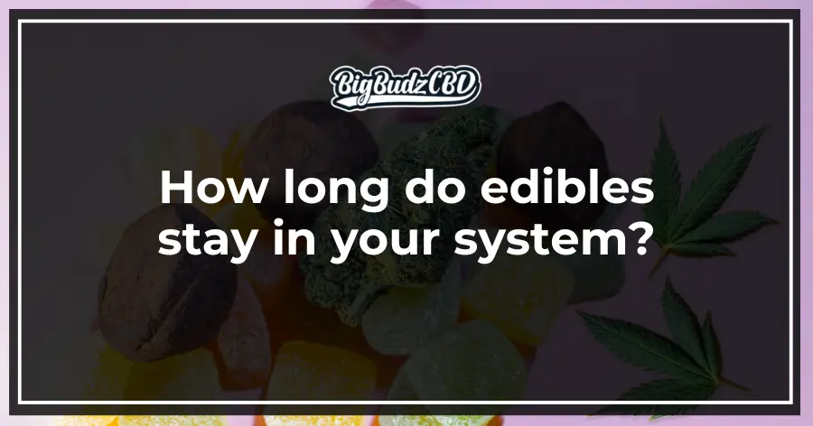 How long do edibles stay in your system