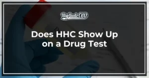 Does hhc show up on a drug test