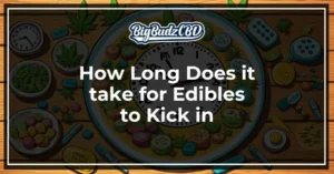 How long does it take for edibles to kick in
