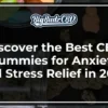 Best CBD Gummies for Anxiety