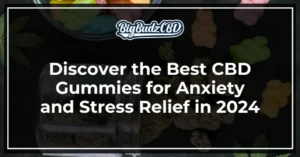 Best CBD Gummies for Anxiety