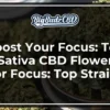 Boost Your Focus_ Top Sativa CBD Flower For Focus (1)