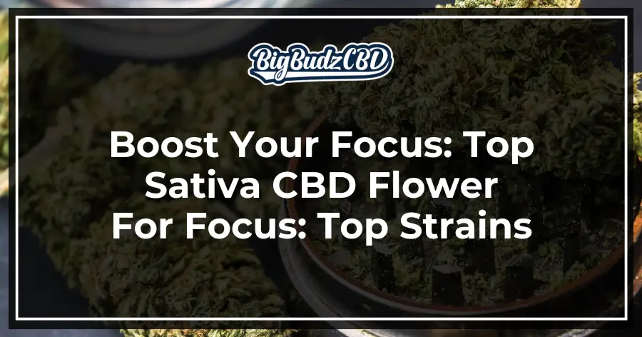 Boost Your Focus_ Top Sativa CBD Flower For Focus (1)