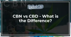 CBN vs CBD - What is the Difference