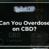 Can You Overdose on CBD