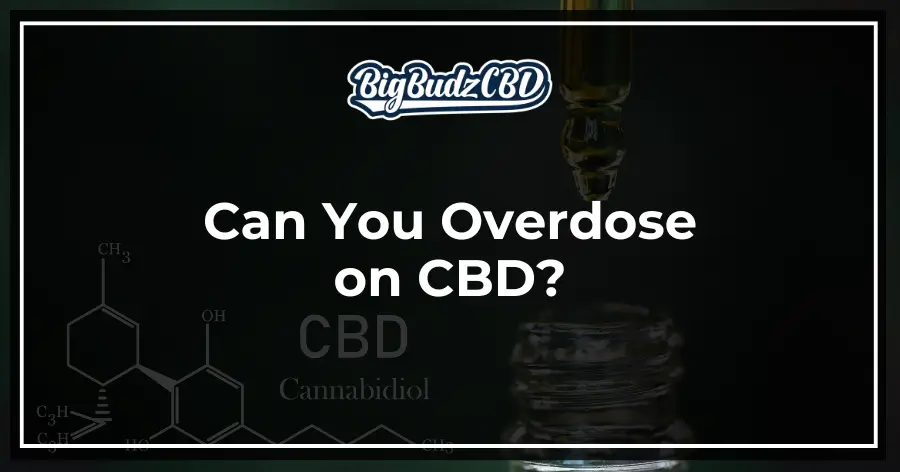 Can You Overdose on CBD