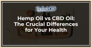 Hemp Oil vs CBD Oil_ The Crucial Differences for Your Health