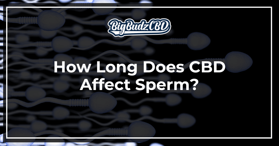 How Long Does CBD Affect Sperm