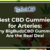 Best CBD Gummies for Arteries_ Why BigBudzCBD Gummmies Are the Real Deal