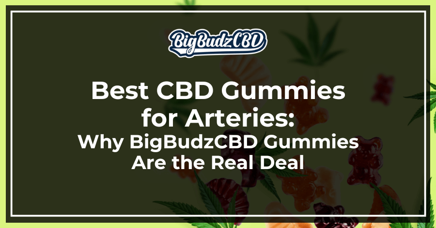 Best CBD Gummies for Arteries_ Why BigBudzCBD Gummmies Are the Real Deal