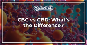 CBC vs CBD What’s the Difference