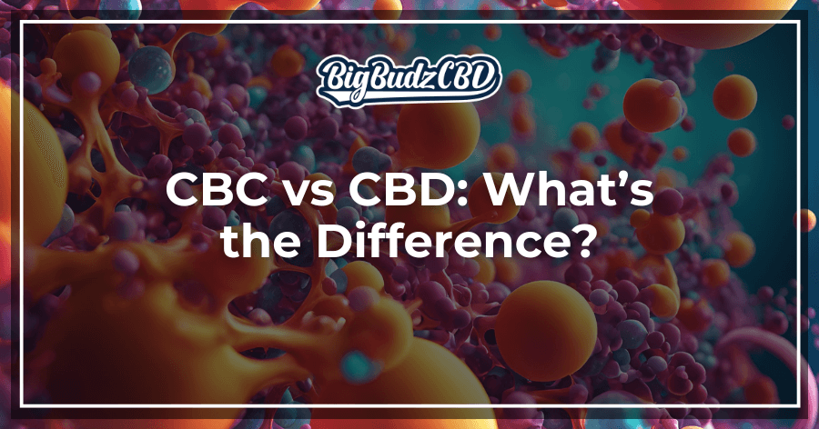 CBC vs CBD What’s the Difference