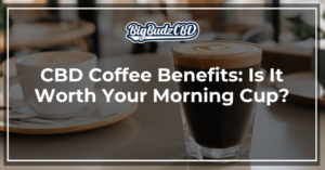 CBD Coffee Benefits Is It Worth Your Morning Cup