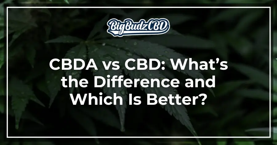 CBDA vs CBD_ What’s the Difference and Which Is Better