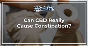 Can CBD Really Cause Constipation