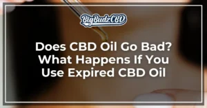 Does CBD Oil Go Bad What Happens If You Use Expired CBD Oil