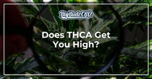 Does THCA Get You High