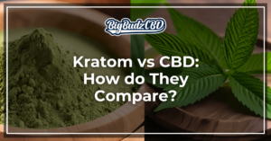 Kratom vs CBD_ How do They Compare