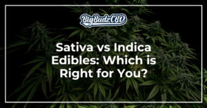 Sativa vs Indica Edibles_ Which is Right for You