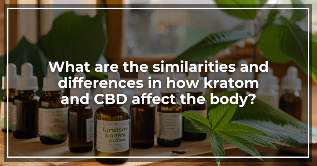 What are the similarities and differences in how kratom and CBD affect the body