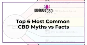 Top 6 Most Common CBD Myths vs Facts