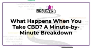 What Happens When You Take CBD A Minute-by-Minute Breakdown