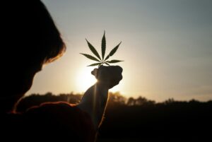 federal-hemp-law-changes-section-781