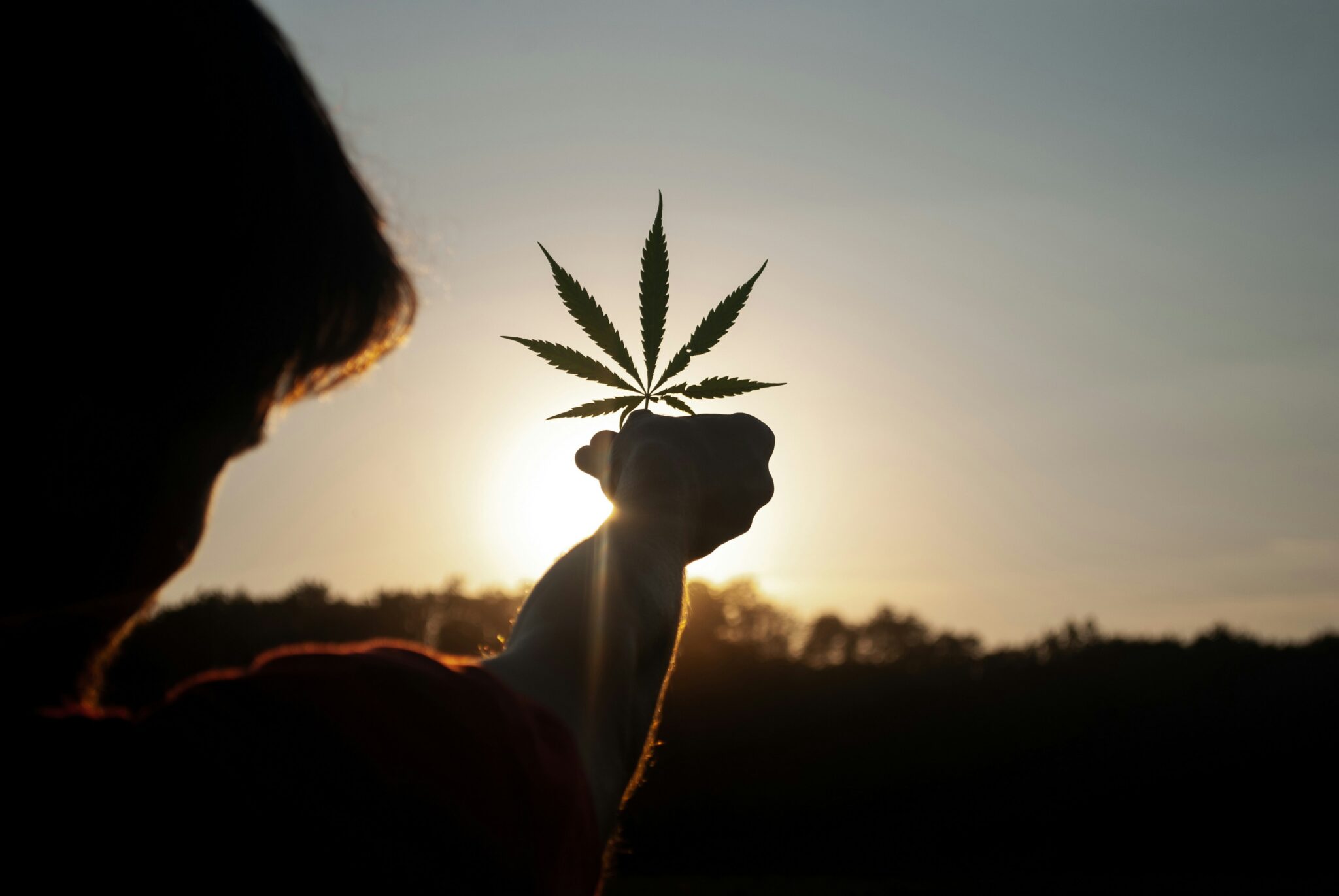 federal-hemp-law-changes-section-781